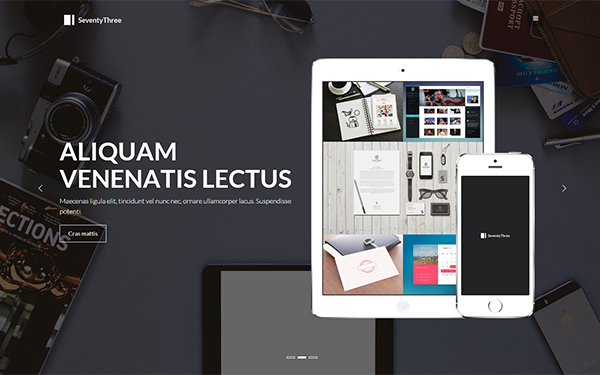 SeventyThree - Premium Portfolio/Resume