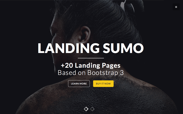 Landing Sumo | +20 Themes in One