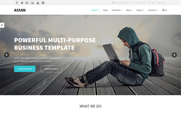 Assan - Business WordPress + Woocommerce