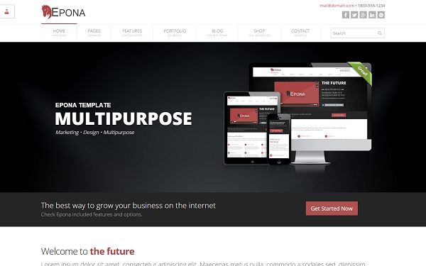 Epona Responsive Website Template