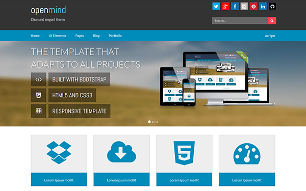 Open Mind - WordPress Customizable Theme