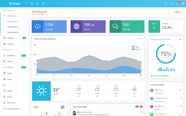Angle bootstrap admin theme