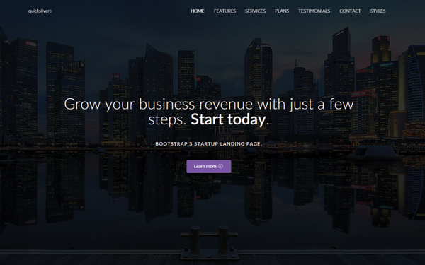 startup landing page