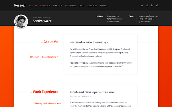 resume theme