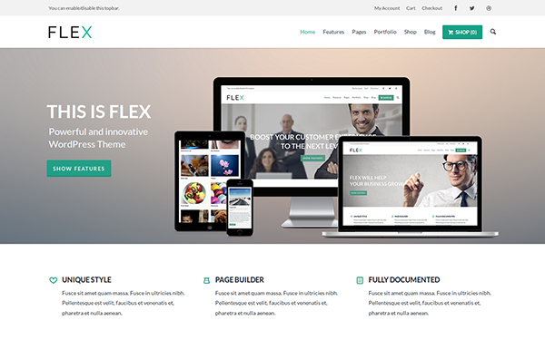 Flex UltraFlexible WordPress Theme