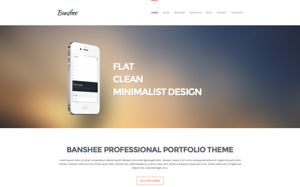 Banshee: Professional Portfolio Theme WP