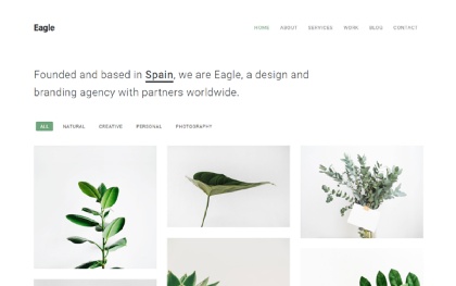 Eagle - Responsive Minimal Template