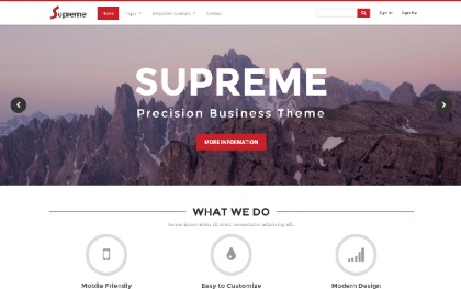 Supreme - Precision Business Theme