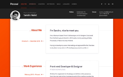 resume theme