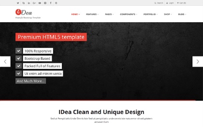 iDea - Responsive Website Template